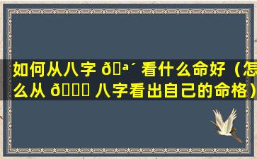 如何从八字 🪴 看什么命好（怎么从 🐕 八字看出自己的命格）